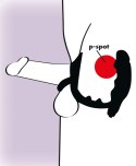 Pierścień na penisa jądra z masażerem prostaty