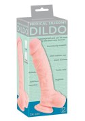 Realistyczny gruby duży penis dildo przyssawka 24c