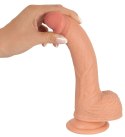 Prawdziwy penis żyły jądra główka naturlany 21cm