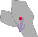 Wibrator masażer wagina łechtaczka anal 20cm 5tryb
