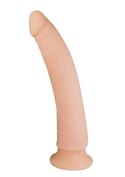 Realistyczny miękki penis dildo przyssawka 24cm