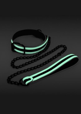 Glo Collar And Leash Glow in the dark